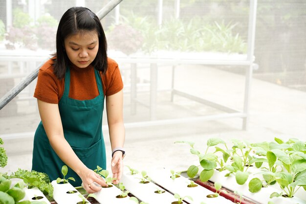 Giovani donne asiatiche agricoltrici si prendono cura dell'ortaggio idroponico