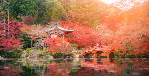 Giovani donne che indossano il kimono al tempio di Daigo-ji con aceri colorati in autunno