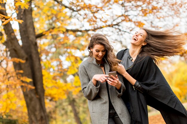 Giovani donne graziose nel parco di autunno