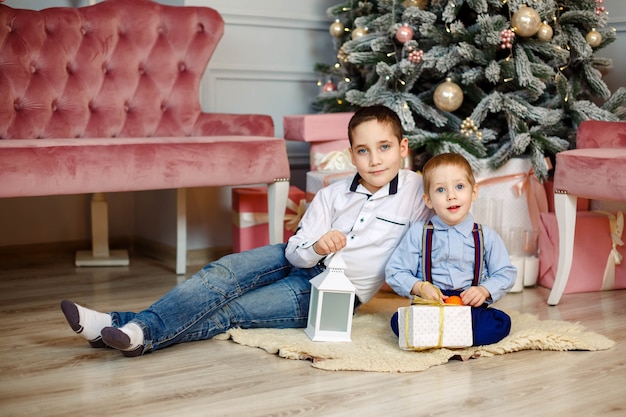 Giovani fratelli vicino all'albero di Natale