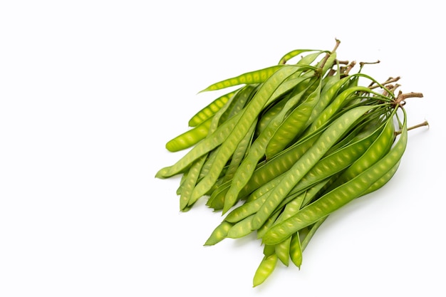 Giovani frutti di Leucaena leucocepphala su sfondo bianco.