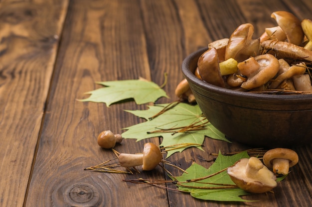 Giovani funghi di bosco freschi in una ciotola profonda su un tavolo di legno.