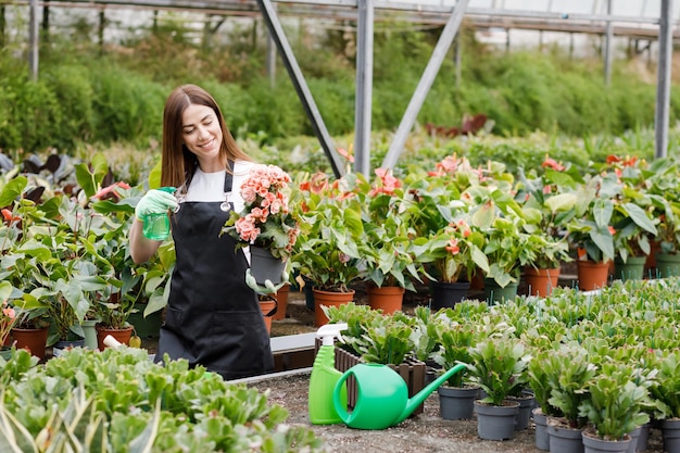 Giovanna fiorista spruzza acqua sulle piante d'appartamento in vasi di fiori con lo spruzzatore Closeup di una giardiniera spruzza fiori usando una bottiglia spray