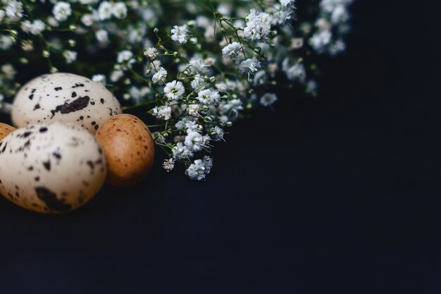 Gipsophila e piccole uova su sfondo grigio semplice