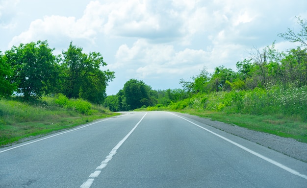 Gira dell'autostrada tra le piante