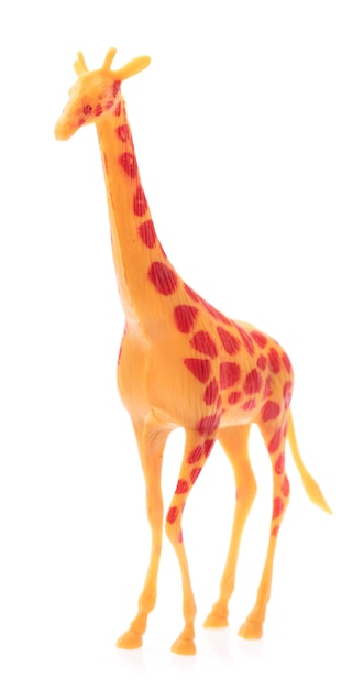 giraffa di plastica. giocattolo animale isolato su sfondo bianco