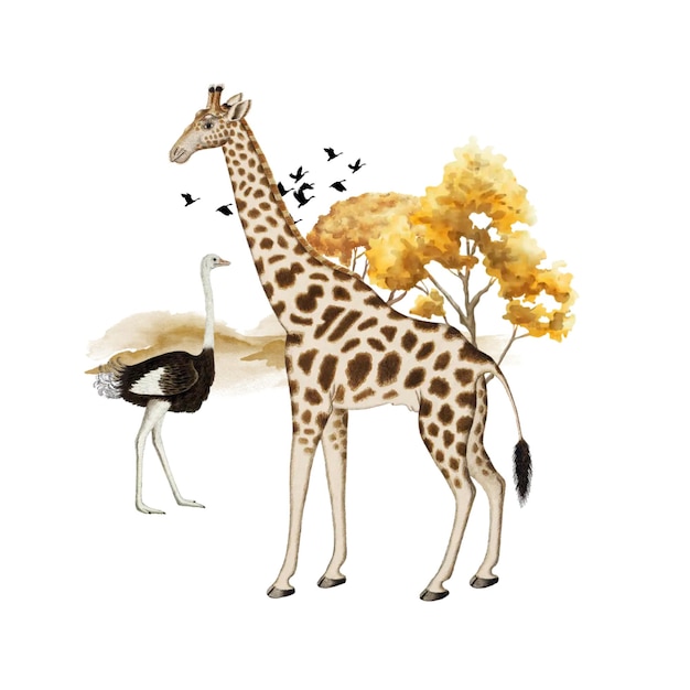 Giraffe png collage di animali selvatici africani con sfondo trasparente