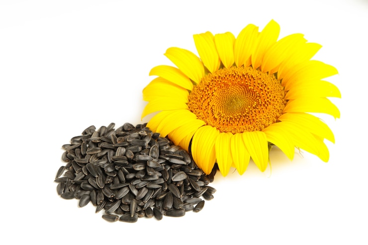 Foto girasole giallo e semi di girasole isolati su sfondo bianco