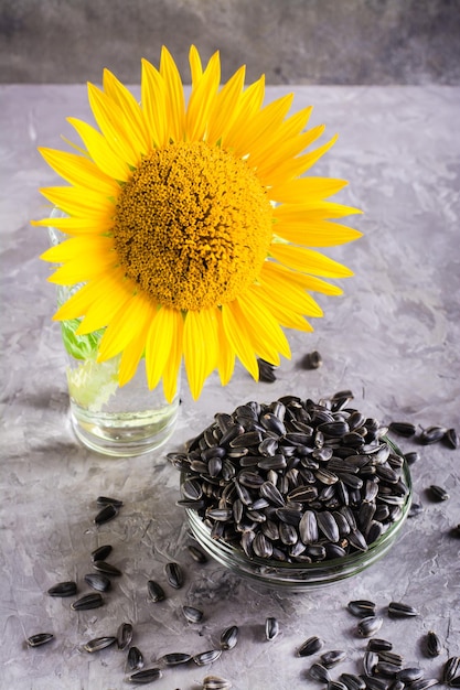 Girasole in un bicchiere e semi in una ciotola su un tavolo grigio Nutrizione naturale e raccolto Verticale