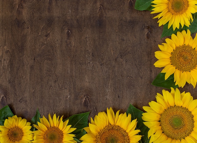 Girasoli gialli luminosi su un fondo di legno scuro