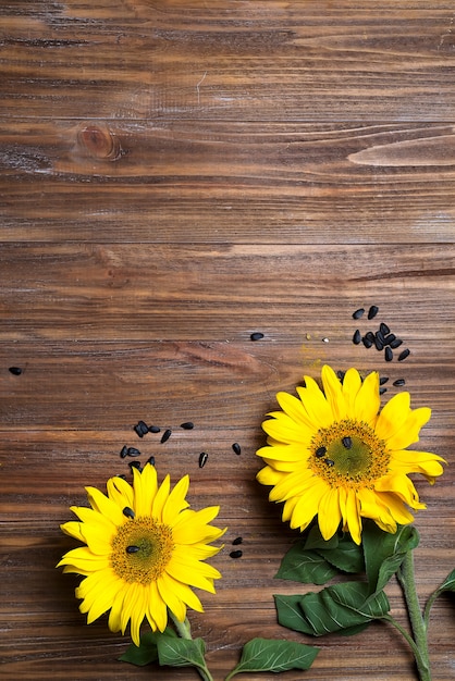 Girasoli gialli su vecchio fondo di legno, vista superiore