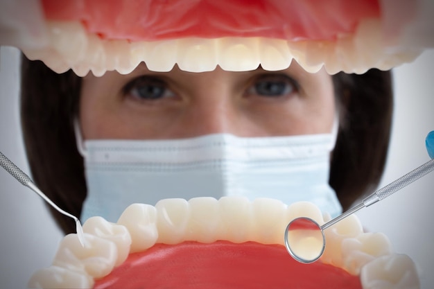 Girato dalla bocca che guarda al dentista femminile Vista dall'interno della mascella dentale