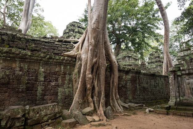 Gita di un giorno in Cambogia