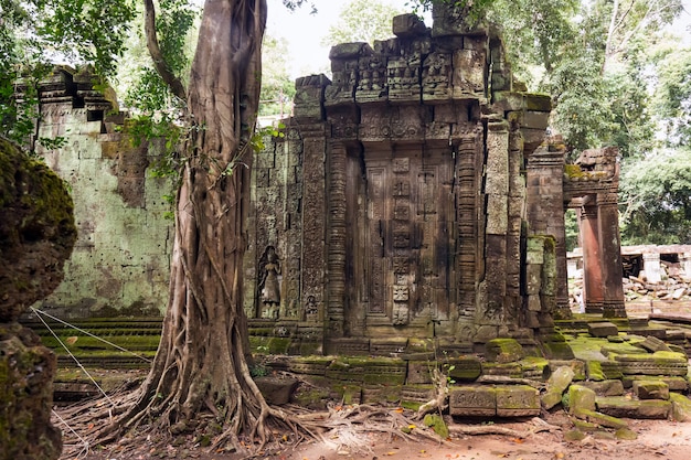 Gita di un giorno in Cambogia