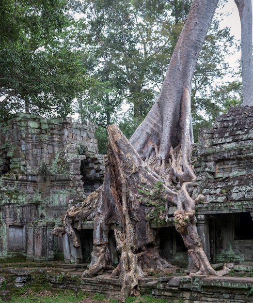 Gita di un giorno in Cambogia