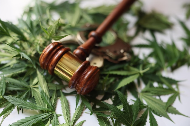 Giudice martelletto e foglie di marijuana verde primo piano