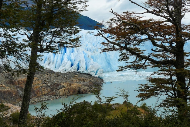 Glaciar Perito Moreno desde el bosque