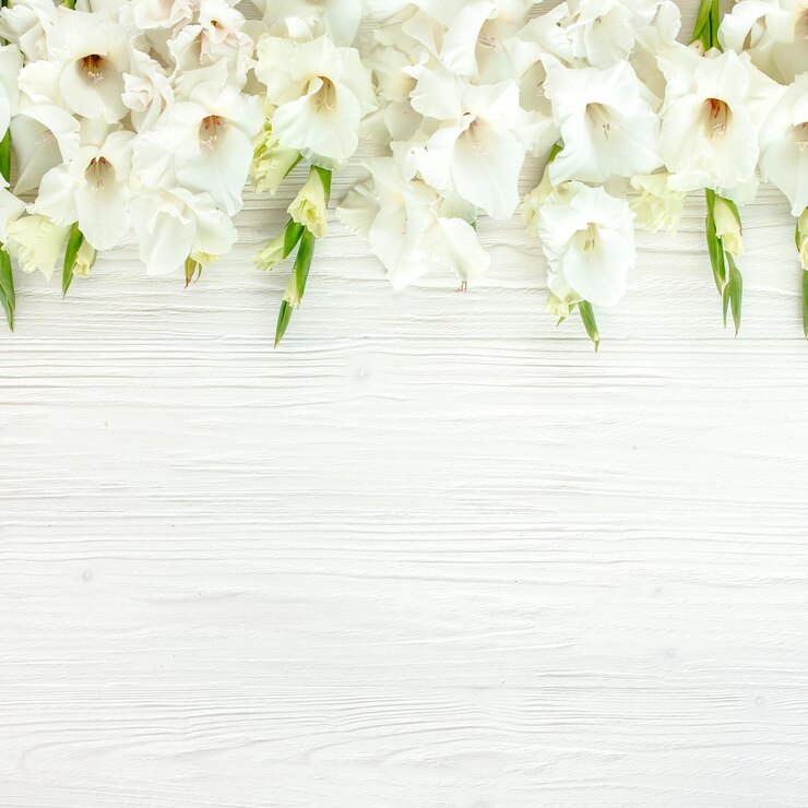 Foto gladioli bianchi su fondo in legno bianco motivo di gladioli con spazio per la tua vacanza di testo gr