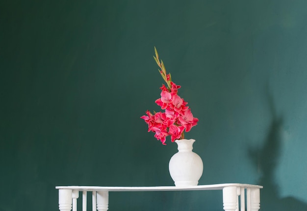 Gladiolo rosa in vaso bianco su sfondo verde parete