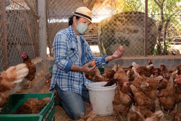 Gli agricoltori asiatici che indossano una maschera raccolgono uova fresche che è un prodotto delle galline della fattoria