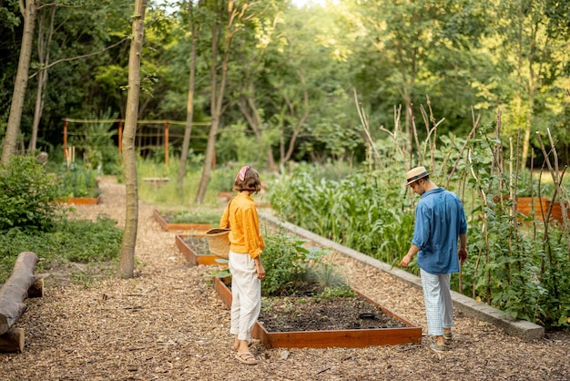 Gli agricoltori camminano nei terreni agricoli durante il tramonto