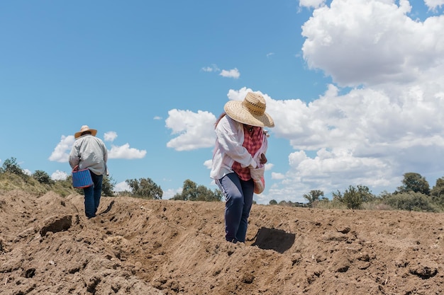 Gli agricoltori che lavorano nel campo impostato