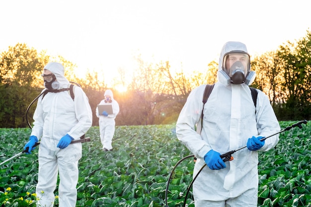 Gli agricoltori che spruzzano prodotti chimici protettivi del raccolto della maschera del campo dei pesticidi