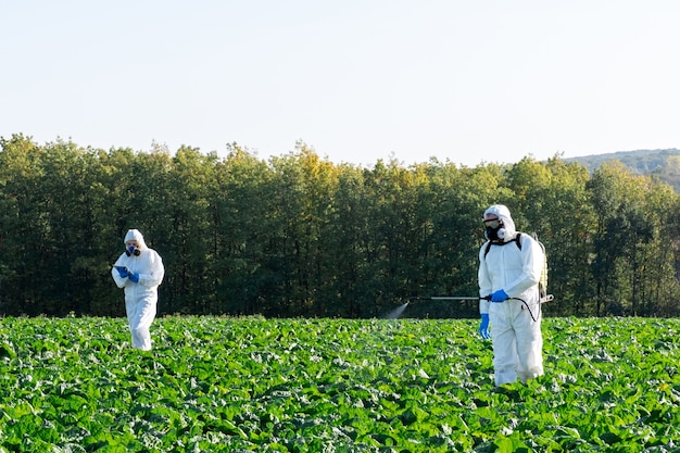Gli agricoltori che spruzzano prodotti chimici protettivi del raccolto della maschera del campo dei pesticidi