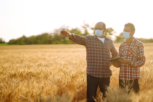 Gli agricoltori in maschere mediche sterili discutono di questioni agricole su un campo di grano. Affari agroalimentari. Covid19.