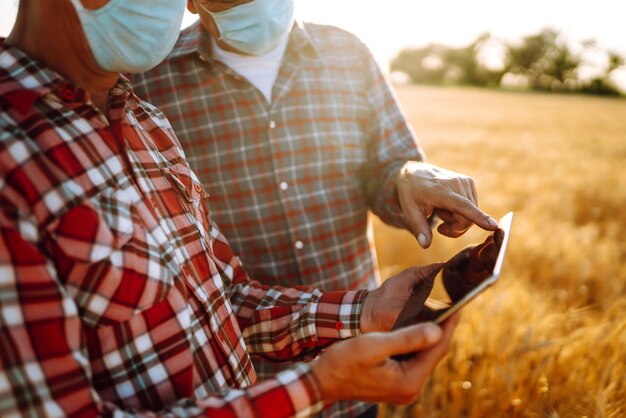 Gli agricoltori in maschere mediche sterili discutono di questioni agricole su un campo di grano Agro business Covid19