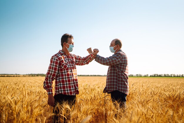 Gli agricoltori in maschere mediche sterili sul viso salutano i loro gomiti su un campo di grano Urto del gomito