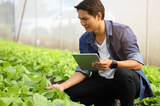 Gli agricoltori intelligenti stanno monitorando la crescita delle piante per stare al passo con le esigenze dei clienti.