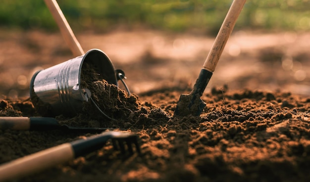 Gli agricoltori usano le pale per coltivare il terreno in agricoltura terreno sciolto