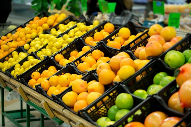 Gli agrumi freschi sono sullo scaffale del negozio. una varietà di agrumi. arance, mandarini, lime, limoni. supermercato