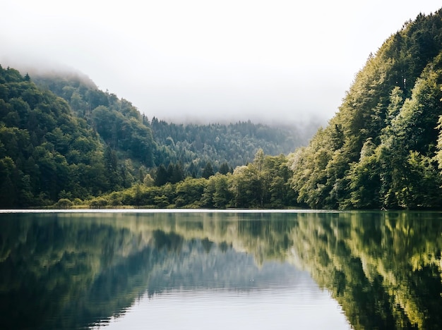 Gli alberi che si riflettono nel fiume contro il cielo