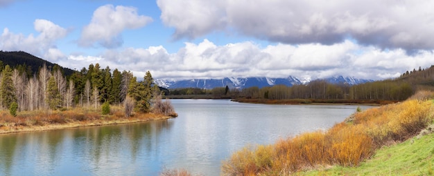 Gli alberi del fiume sbarcano e le montagne nel parco nazionale del Grand Teton della stagione primaverile del paesaggio americano