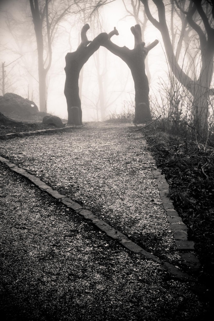 Foto gli alberi nella foresta.