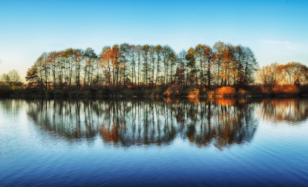 gli alberi si riflettono nel fiume