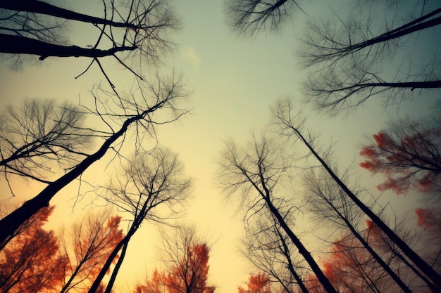 gli alberi sono rossi alla luce del sole nello stile dell'ambra scura e del beige