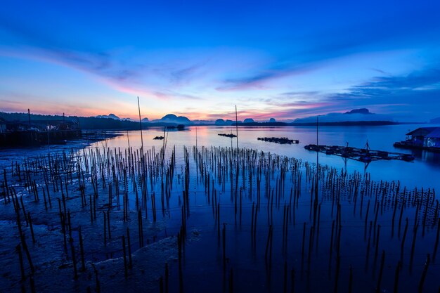 Gli allevamenti di ostriche al villaggio di pescatori a Samchong-tai, Phang Nga, Thailandia