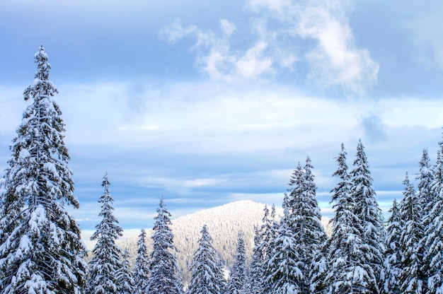 Gli altopiani in inverno sono avvolti nella neve.