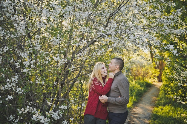 Gli amanti camminano tra i fiori di ciliegio 1448
