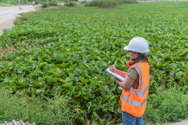 Gli ingegneri ambientali lavorano presso l'impianto di stoccaggio dell'acqua controllano il pH dell'acqua controllano la qualità dell'acqua