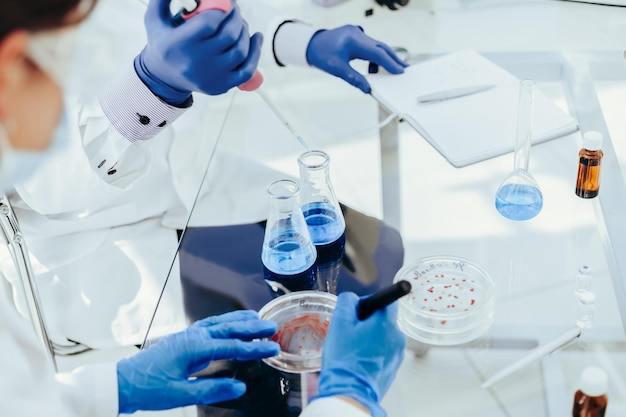 Gli scienziati conducono ricerche in un laboratorio microbiologico