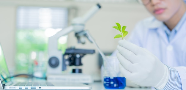 Gli scienziati prendono una piccola pianta dal vassoio per fare ricerche sulla biotecnologia nel laboratorio di scienze