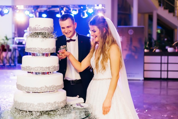 Gli sposi sorridono e tagliano insieme la torta nuziale bellissima