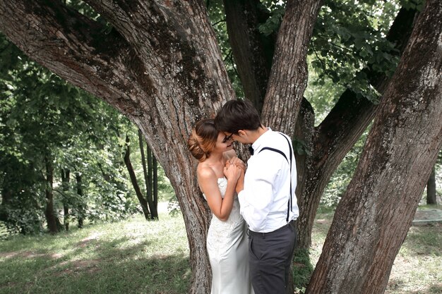 Gli sposini felici si baciano vicino a un grande albero che si allarga