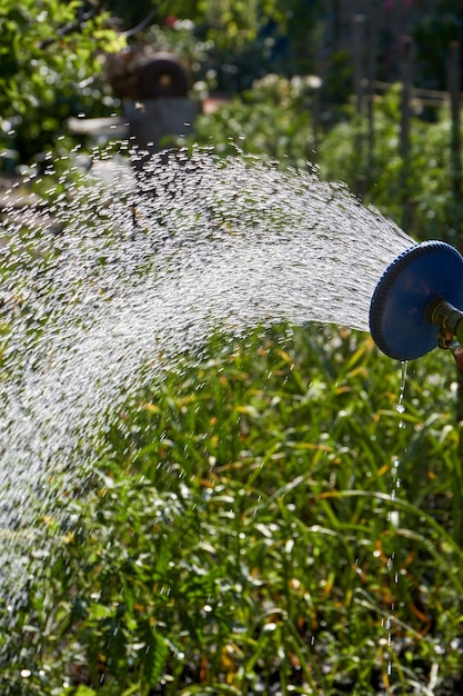 Gli spruzzi d'acqua in movimento escono dal primo piano dell'irrigatore