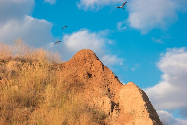 Gli uccelli che volano sopra il cielo nuvoloso azzurro della montagna e cullano il dono inestimabile della libertà spiegano le ali