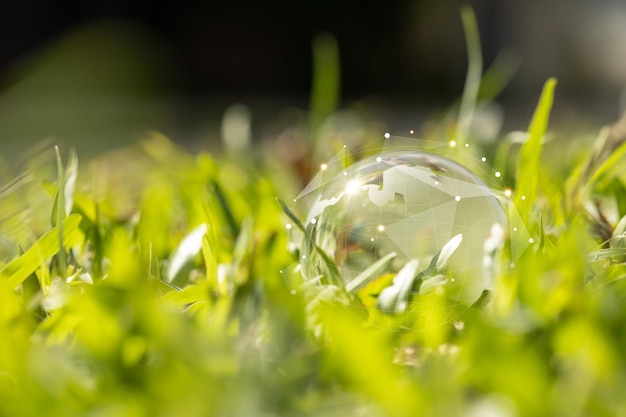 Globo di cristallo posizionato sulla connessione della rete di comunicazione dell'erba verde e sulla campagna di riduzione dell'energia di protezione ambientale del consumo energetico globale per ridurre il riscaldamento globale e proteggere il pianeta
